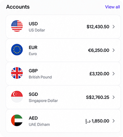 Multi-currency accounts
